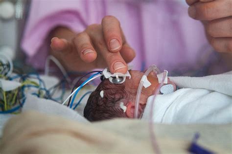 what are the chances of being born|Survival of the littlest: the long.
